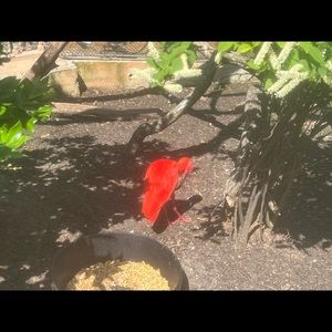 Meet your Posher, Tamika